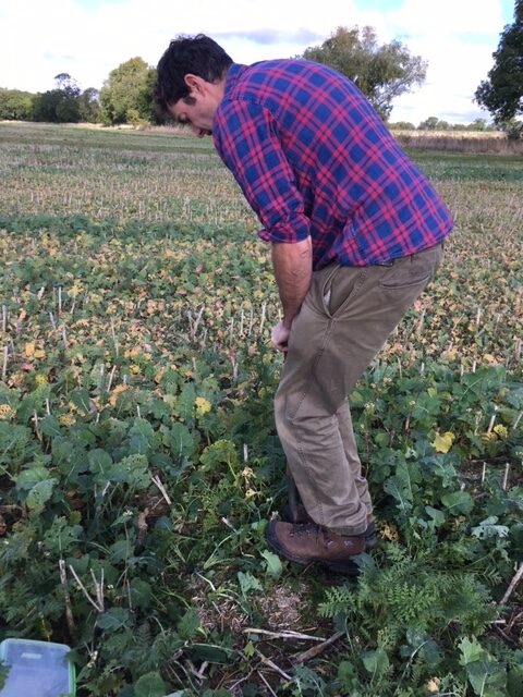 H3 Farm-scale Regenerative Agriculture – introduction and update | H3